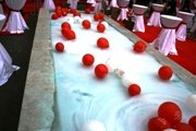 Pizza Tomato Al Organizasyonu - Bolvadin